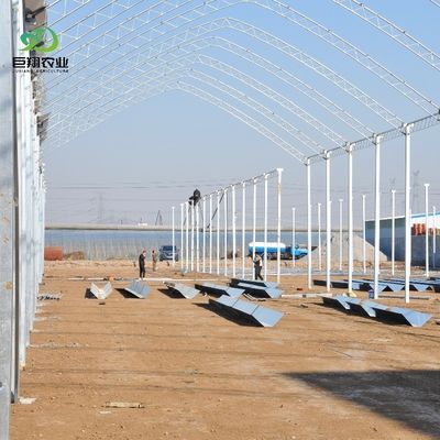 100% απόκλεισμα αυτόματης στέρησης φωτός θερμοκήπιο για τον Καναδά / τις ΗΠΑ Ζήτησε δείγμα