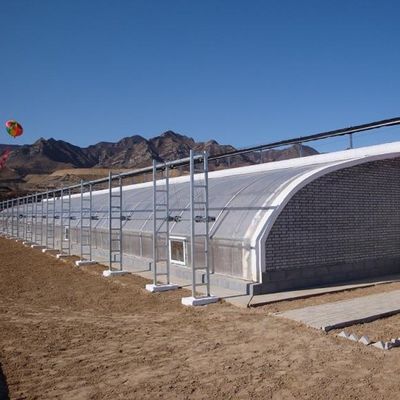 Σχήμα οροφής Κεραμική οροφή JX-Arch Greenhouse για την υδροπονική καλλιέργεια ντομάτας φράουλας