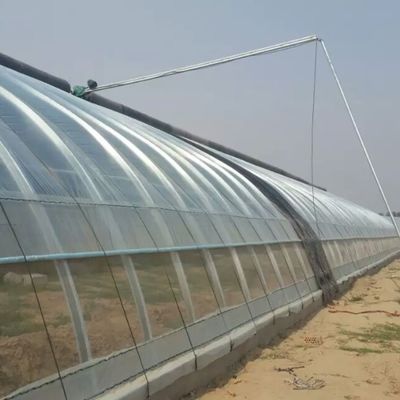 Σχήμα οροφής Κεραμική οροφή JX-Arch Greenhouse για την υδροπονική καλλιέργεια ντομάτας φράουλας