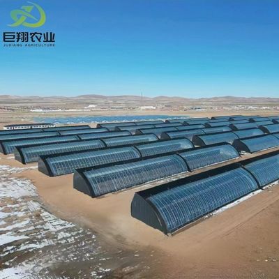 Σχήμα οροφής Κεραμική οροφή JX-Arch Greenhouse για την υδροπονική καλλιέργεια ντομάτας φράουλας