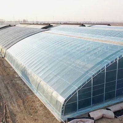 Σχήμα οροφής Κεραμική οροφή JX-Arch Greenhouse για την υδροπονική καλλιέργεια ντομάτας φράουλας