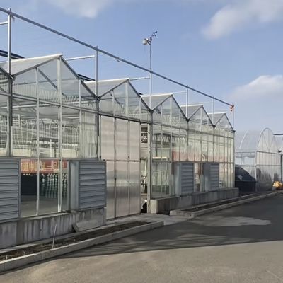 Μονόστρωτο γυάλινο θερμοκήπιο για κηπουρική προσαρμοσμένο στις ανάγκες σας