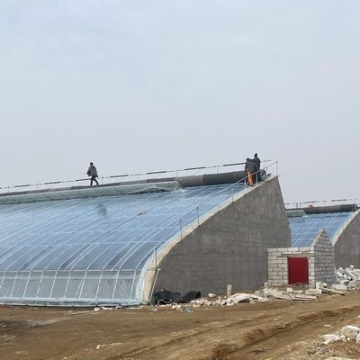 Συνεχή θέρμανση Δαχτυλόπριονίδας PE/Pep θερμοκήπιο με πάχος ταινίας 0,2 mm