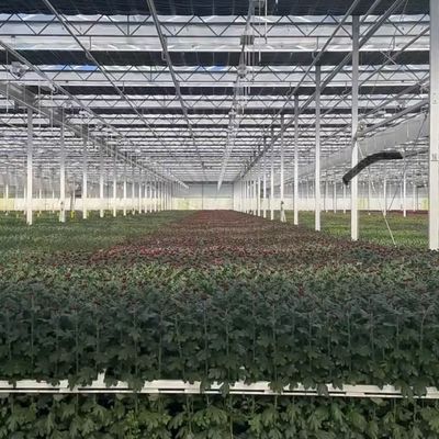 Κινέζικη προέλευση Γυάλινο θερμοκηπίο για λουλούδια 30 ημέρες Επιστροφή 100.000kg Ακαθάριστο βάρος