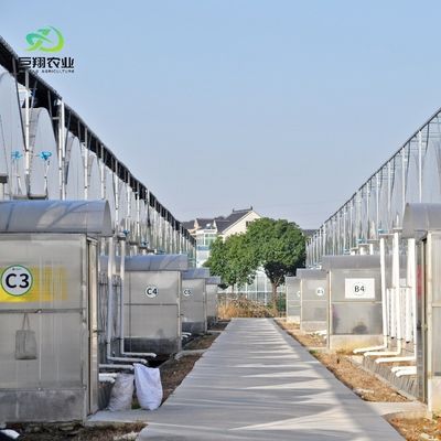 8m 9,6m 12m προσαρμοσμένη ταινία πλάσματος πλαστικής γεωργίας με υδροπονικό σύστημα καλλιέργειας
