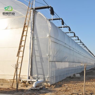 8m 9,6m 12m προσαρμοσμένη ταινία πλάσματος πλαστικής γεωργίας με υδροπονικό σύστημα καλλιέργειας
