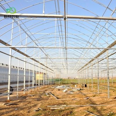 8m 9,6m 12m προσαρμοσμένη ταινία πλάσματος πλαστικής γεωργίας με υδροπονικό σύστημα καλλιέργειας