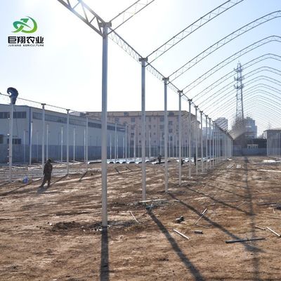 8m 9,6m 12m προσαρμοσμένη ταινία πλάσματος πλαστικής γεωργίας με υδροπονικό σύστημα καλλιέργειας