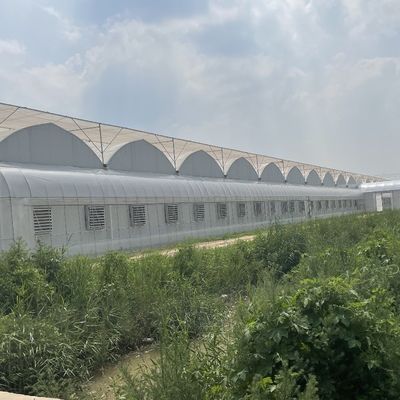 Σύστημα υδροπονικής άρδευσης για φράουλες/ λουλούδια/ λαχανικά