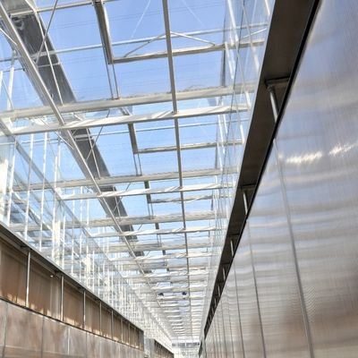 Φαινομενικό θερμοκήπιο με ηλιακό φως Πολυδιάστατη υδροπονική θερμοκήπιο πλαστικής ταινίας για εμπορική γεωργία