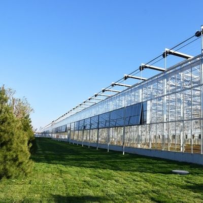 Φαινομενικό θερμοκήπιο με ηλιακό φως Πολυδιάστατη υδροπονική θερμοκήπιο πλαστικής ταινίας για εμπορική γεωργία