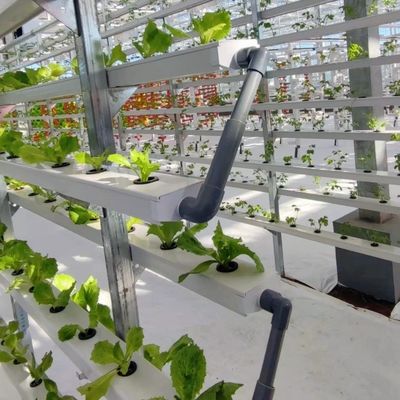 Μεγάλο γυάλινο θερμοκηπίο για βιώσιμη ανάπτυξη ΗΠΑ 20/τ.μ. Μεγάλο μέγεθος