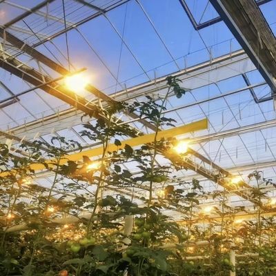 Ανταγωνιστική αρχική πληρωμή θερμοκήπιο για βοτανική όαση περιφραγμένο ένα είδος οροφής