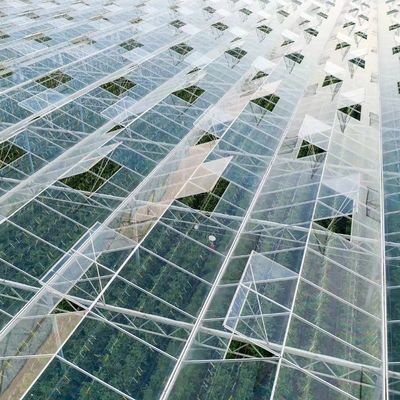 Ανταγωνιστική αρχική πληρωμή θερμοκήπιο για βοτανική όαση περιφραγμένο ένα είδος οροφής