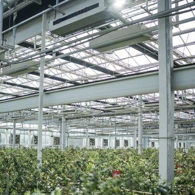 Φυτώριο με καλή διαβίβαση φωτός Μέγεθος 50,00cm * 60,00cm * 80,00cm