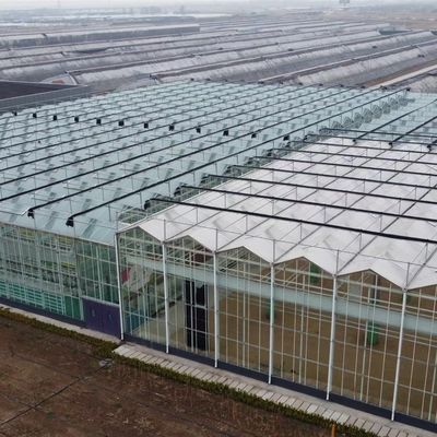 Μεγάλο υδροπονικό σύστημα θερμοκηπίου με πακέτο επιδόσεων και ακαθάριστο βάρος 100.000kg