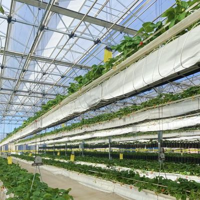 Πακέτο Μέγεθος 50.00cm * 60.00cm * 80.00cm Γυάλινο θερμοκήπιο για υδροπονική ανθοκαλλιέργεια