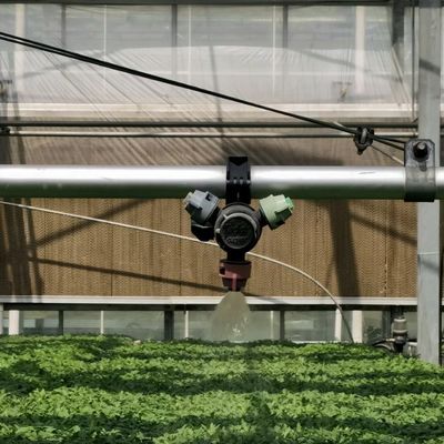 Χάλυβα δομή γυάλινη οροφή υδροπονικό θερμοκήπιο για μεγάλες καλλιέργειες λουλουδιών και φύτευση