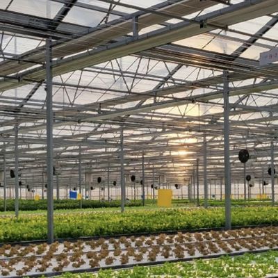 100.000kg Συσκευή Ακαθάριστο βάρος Πολυδιάστατο γυάλινο θερμοκήπιο για καλλιέργεια λουλουδιών