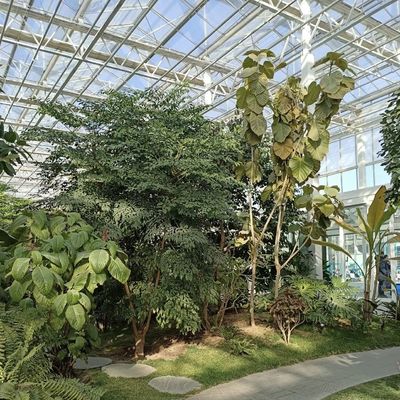 100.000kg Συσκευή Ακαθάριστο βάρος Πολυδιάστατο γυάλινο θερμοκήπιο για καλλιέργεια λουλουδιών