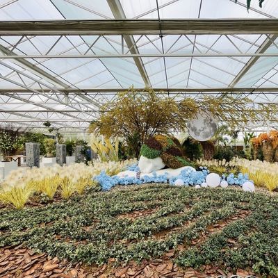 100.000kg Συσκευή Ακαθάριστο βάρος Πολυδιάστατο γυάλινο θερμοκήπιο για καλλιέργεια λουλουδιών