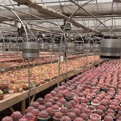 Υδροπονικό σύστημα γυάλινου θερμοκηπίου για την καλλιέργεια λουλουδιών
