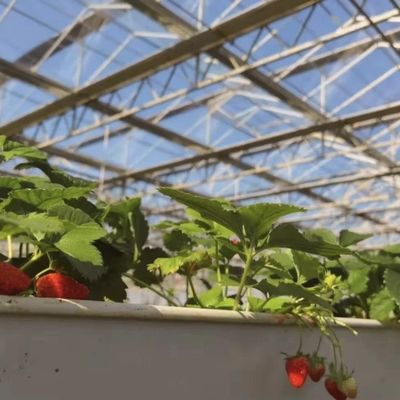 Υδροπονικό σύστημα γυάλινου θερμοκηπίου για την καλλιέργεια λουλουδιών
