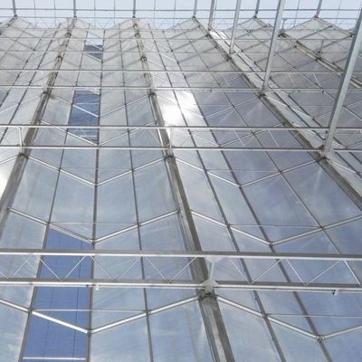 Κλινοθάλαμο με γυάλινη οροφή για την καλλιέργεια λουλουδιών Αρχική πληρωμή και προσιτό κόστος αποστολής