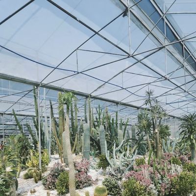 80.000kg Πακέτο Ακαθάριστο βάρος σταγόνα άρδευση γυάλινο θερμοκήπιο με λαχανικά
