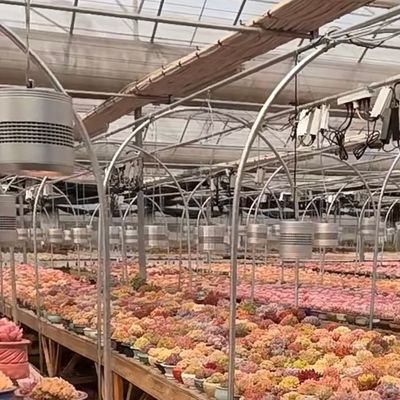 Κλινοξύστης από υαλοπίνακα για λαχανικά Πολλαπλής διάστασης Σχεδιασμός Προσαρμοσμένο αίτημα Αποδεκτό