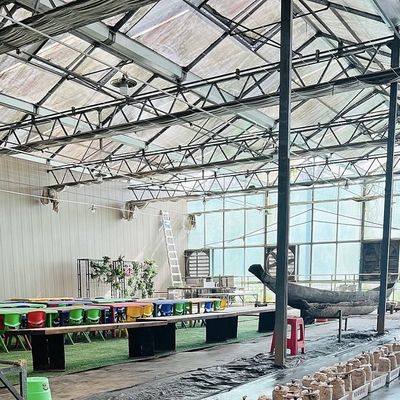 Αρχική πληρωμή Κινέζικης προέλευσης γυάλινο θερμοκήπιο με υδροπονικό σύστημα πολλαπλής διάστασης