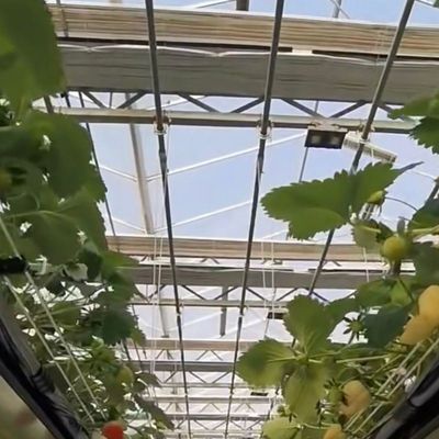 Εγκατάσταση υδροπονικών λαχανικών σε γυάλινο θερμοκήπιο Κόστος αποστολής και εκτιμώμενος χρόνος παράδοσης