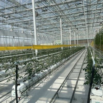 Γυάλινα θερμοκήπια με υψηλή μετάδοση φωτός για λαχανικά Επιστροφή επιστροφών Μέχρι 30 ημέρες