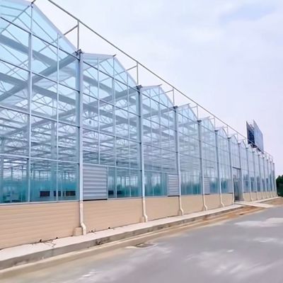 Κινέζικη προέλευση γυάλινο θερμοκήπιο με υδροπονικά λαχανικά πακέτο Ακαθάριστο βάρος 80.000kg