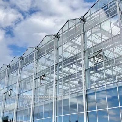80.000kg ακαθάριστο βάρος Δυστυχισμένο γυαλί θερμοκήπιο υδροπονική για την καλλιέργεια λαχανικών