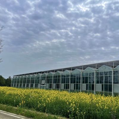 80.000kg ακαθάριστο βάρος Δυστυχισμένο γυαλί θερμοκήπιο υδροπονική για την καλλιέργεια λαχανικών
