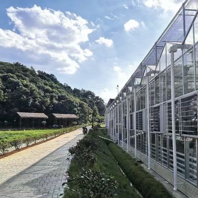 Η οροφή σχηματίζει ένα είδος οροφής υδροπονικό γυάλινο θερμοκήπιο για μεγάλη καλλιέργεια λαχανικών