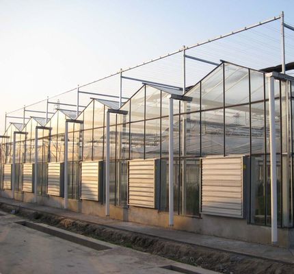 Υδροπονική γυάλινο θερμοκήπιο με σύστημα σκιάσης Συσκευή ολικού βάρους 80.000kg