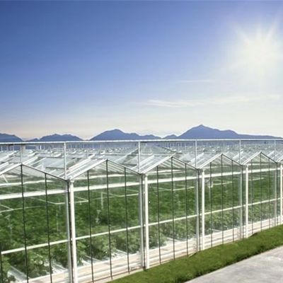 Προηγμένη υδροπονική καλλιέργεια λαχανικών σε μεγάλα γυάλινα θερμοκήπια