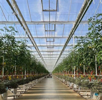 US Float Single Span Greenhouse για λαχανικά/φρούτα/λούδια και επιστροφές επιστροφής