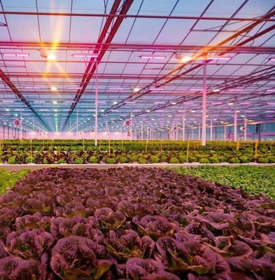 US Float Single Span Greenhouse για λαχανικά/φρούτα/λούδια και επιστροφές επιστροφής