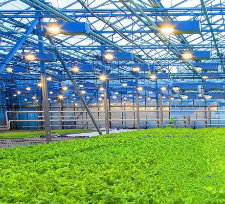 US Float Single Span Greenhouse για λαχανικά/φρούτα/λούδια και επιστροφές επιστροφής