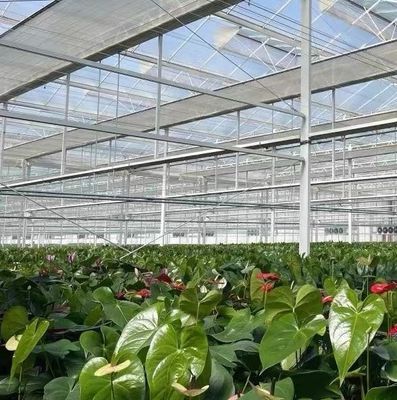 US Float Single Span Greenhouse για λαχανικά/φρούτα/λούδια και επιστροφές επιστροφής