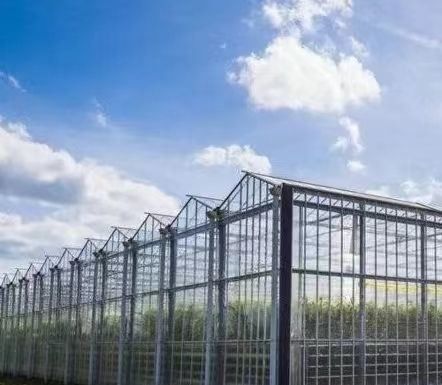 US Float Single Span Greenhouse για λαχανικά/φρούτα/λούδια και επιστροφές επιστροφής