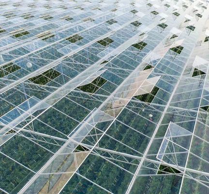 US Float Single Span Greenhouse για λαχανικά/φρούτα/λούδια και επιστροφές επιστροφής