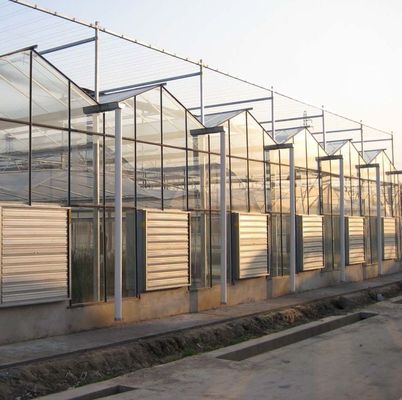Φυτικές καλλιέργειες Φυτικές καλλιέργειες Φυτικές καλλιέργειες