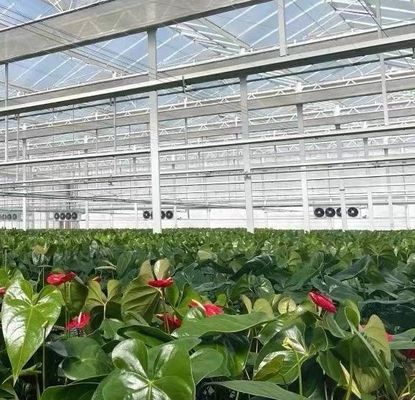 Σιδηροδρομική δομή Σύστημα καλλιέργειας υδροπονικών λαχανικών