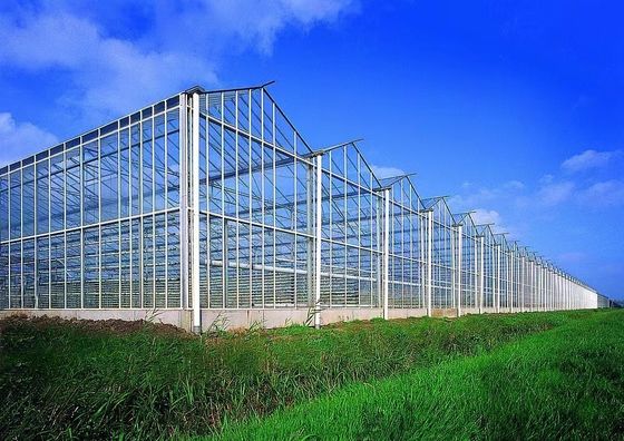 80.000kg Πακέτο Ακαθάριστο βάρος Γυάλινο θερμοκήπιο με υδροπονική και κόστος αποστολής
