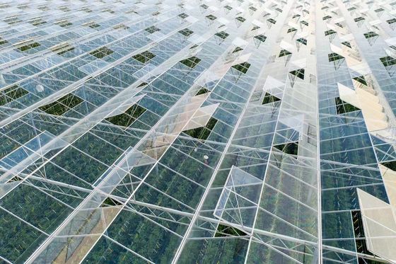 80.000kg Πακέτο Ακαθάριστο βάρος Γυάλινο θερμοκήπιο με υδροπονική και κόστος αποστολής