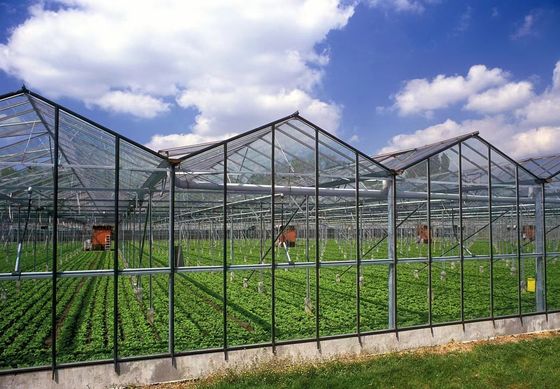 80.000kg Πακέτο Ακαθάριστο βάρος Γυάλινο θερμοκήπιο με υδροπονική και κόστος αποστολής